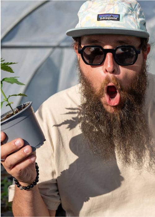 Thomas de montinormand cbd